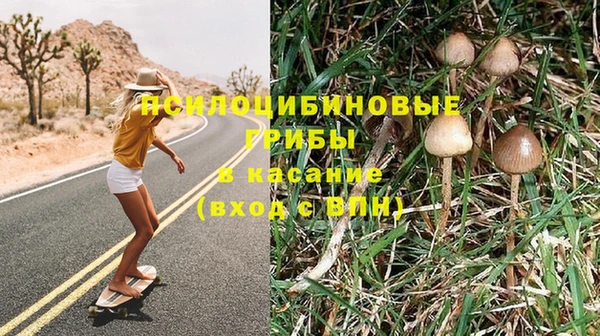 Альфа ПВП Беломорск