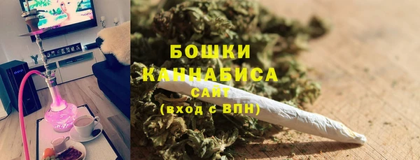 apvp Белокуриха