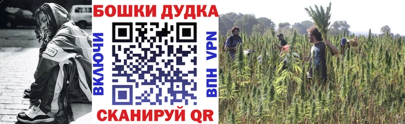 Бошки марихуана ГИДРОПОН  Миньяр 